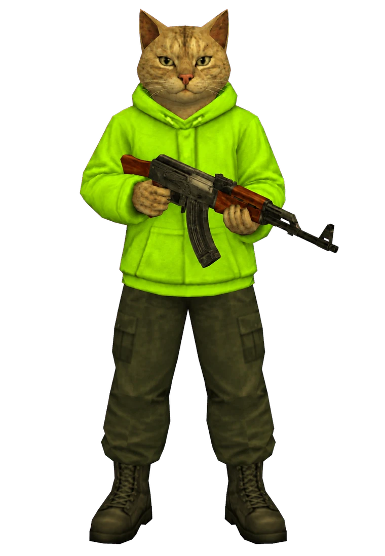 ak cat standing with his rifle